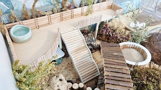 German Hamster Cage Tour 🌾 Natural Hamster Enclosure Setup