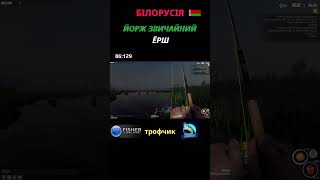 Fisher Online - білорусія Йорж Звичайний (Ёрш) троф