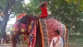 யானை மீதிருந்து சறுக்கி விழுந்த பாபா ராம்தேவ்!! Baba Ramdev falls off from elephant!!!