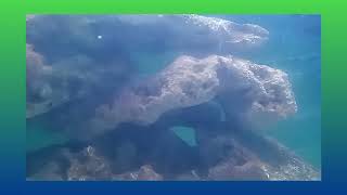 (Official clip - The Odote Embrace Activities) Marine Aquarium short tutorial video Biological Sci.