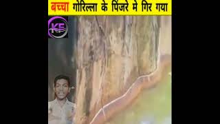 #viral जब बच्चा गोरिल्ला के पिंजरे मे गिर गया | facts in hindi / intresting facts #shorts