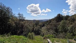 [4K, Timelapse] Stunning View on a Sunny Day in the Santa Cruz Mountains of California