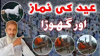 Eid Prayer And The Horse | عید کی نماز اور گھوڑا