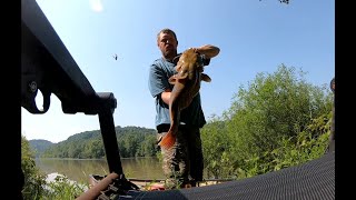 8 Minutes of Pulling in Catfish on Droplines