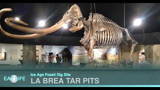 La Brea Tar Pits