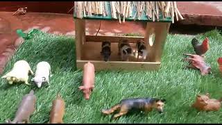 Domestic animals and their use # Preschool videos