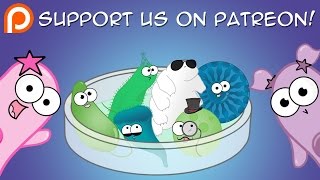 Join our Petri Dish on Patreon!