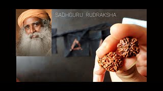 Got Rudraksha Gift🎁 from #Sadhguru isha Foundation | Rudraksha Diksha Unboxing🔥🔥@sadhguru