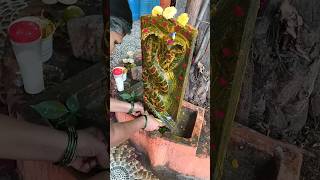 Nagula panchami special pooja, happy nagula panchami