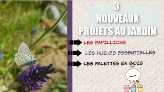 [JARDIN] 3 NOUVEAUX PROJETS AU JARDIN/ papillons, palettes en bois, les huiles essentielles