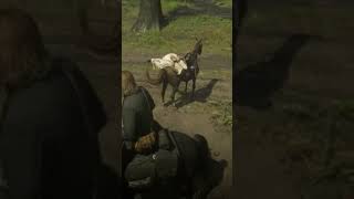 RDR2 - Only NPC, I always help, even during low-honor playthrough #rdr2 #gaming #gameplay #foryou