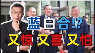 【苑举正】蓝白合能够改变台湾的未来吗？