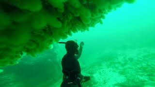 Freediving Shetland Scotland . Cannons Cliffs and Caves(fun just before lockdown)