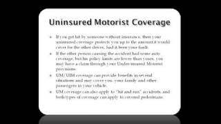 New Hampshire Attorney: Auto  Insurance Types