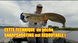 Cette technique de pêche SHARPSHOOTING est REDOUTABLE  !