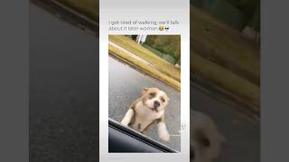 Attention: This Video May Lead to Instant Puppy Love – Proceed with Joy 🤭           #dog #foryou