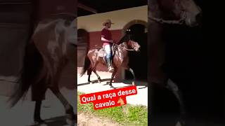 Qual a raça desse cavalo 🐴#viral#agro