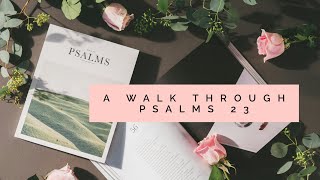 24-128 -- The Shepherd's Journey  A Serene Walk Through Psalms 23