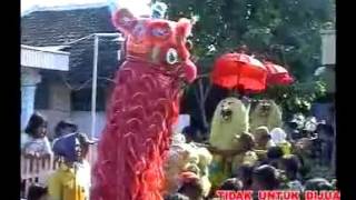 BARONGSAI BUROK SINGA DEPOK PKC @ buaya ngosed