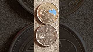 2011 Colored And Non-Color Orca Quarters