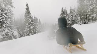 Luge au Massif