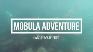 Mobula Adventure July 2020