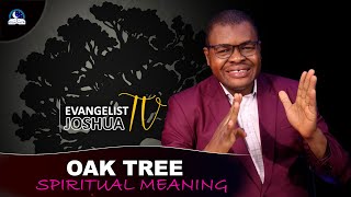 Oak Tree Spiritual Meaning and Interpretation