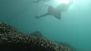 Freediving #DiveSanLuis