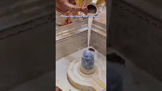 Shiva abhishekam#god #siva #shorts