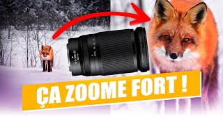 Nikon Z 28-400mm : le zoom XXL idéal ?