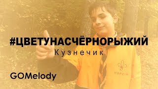 Кузнечик - Цвет у нас чёрно-рыжий