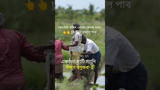 একচনা মাটি ম্যাদি। Eksona land myadi। annual patta to periodic patta । Mission basundhara 2