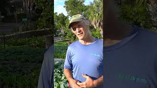 Bittersweet Changes to his Farm #garden #permaculture #gardening #sustainability