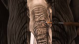 Have you enjoyed this Elephant Drawing ASMR?? #drawing #shorts