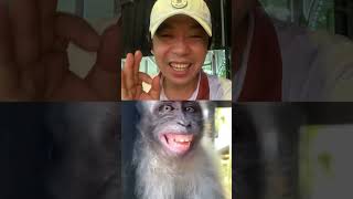 HN Official | Chuyện Con Khỉ #shorts #funny #viral