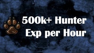 Best Hunter Exp: 500k+ Exp/H Catching Chronicle Fragments by Idk Whats Rc