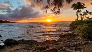 North Shore to Honolulu