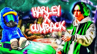 HARLEY x CUMBACK - WHYBABY? & NEKOGLAI (MASHUP) | Некоглай & WhyBaby? — Harback (Cumley)