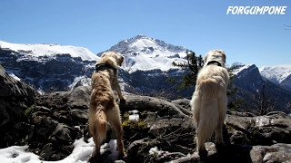 LES BAUGES:"temps de chien" sur les pentes du MONT JULIOZ