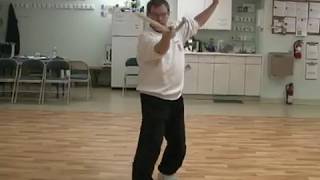 Intermediate Taiji (Tai Chi):   Short Weapons, Our First Cane Form