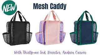 NEW  Mesh Caddy | Ind. Thirty-One Director, Andrea Carver