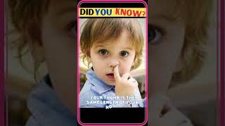 Is Your Thumb Really the Same Length as Your Nose? | Motivation facts #shorts