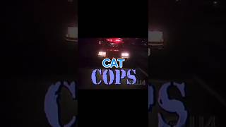 Cat Cops - Chase POV Camera #cats #funnycat #catcam #catchase