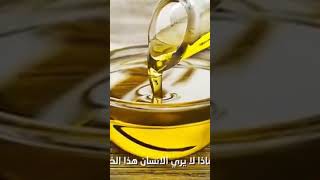 من عجائب تفسير ايه النور واكتشاف معلومات عن الزيت