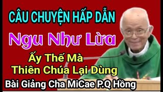 Câu Chuyện Ngu Như Lừa Mà Thiên Chúa Lại Dùng  , Bài Giảng Cha Hồng