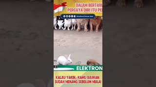 Dalam bertarung percaya diri itu perlu #percayadiri #reminder #meindhardothmanaizat