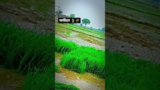 #viral #latest #new #shorts #farmar #village #sukoon