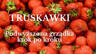 Podwyższona grządka na truskawki - Jak ją zrobić? + moje błędy | Eco Zen