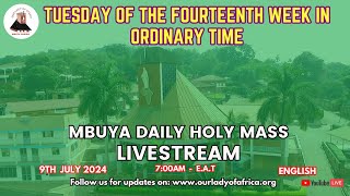 Catholic Mass Today |Daily TV Mass, Tuesday 9th July, 2024