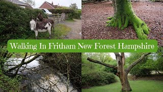 Walking In Fritham New Forest Hampshire UK | Nature & Bird Sounds |